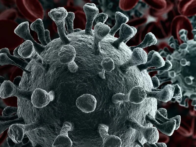Обнародован фактор, который повышает риск смерти от коронавируса